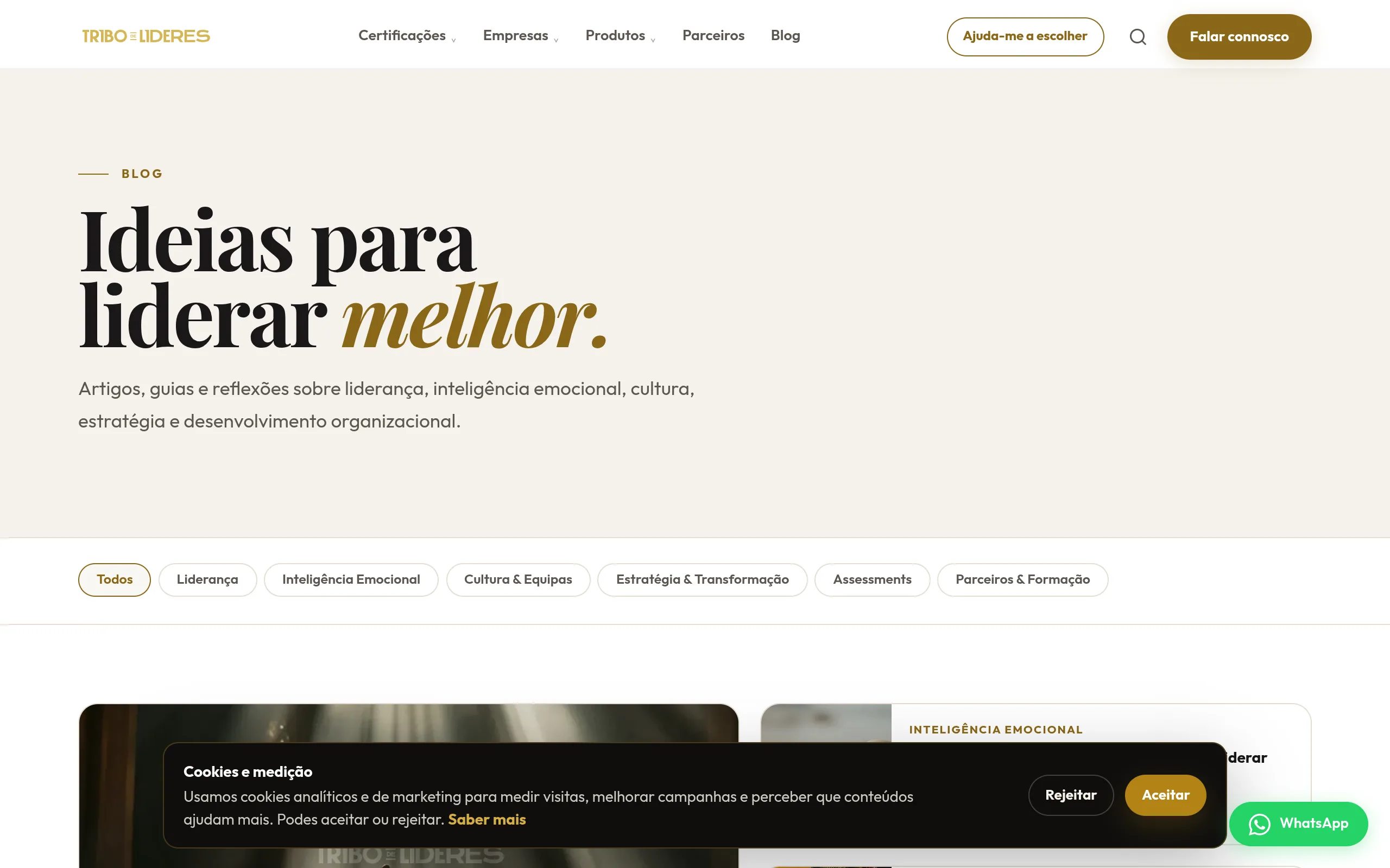Tribo Blog Auto